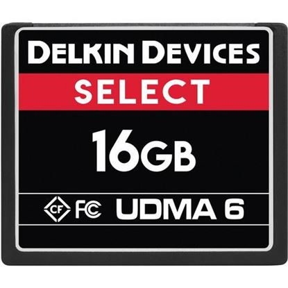 Picture of Delkin Devices 16GB Select UDMA 6 CompactFlash Memory Card