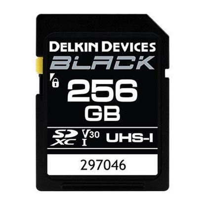 Picture of Delkin BLACK 256GB UHS-I V30 U3 90MB/s SDXC Card