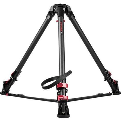 Picture of iFootage Wild Bull T Series T7 Carbon Fiber Tripod